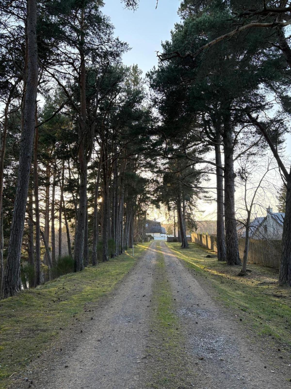 Dalrachney Lodge Carrbridge Eksteriør bilde